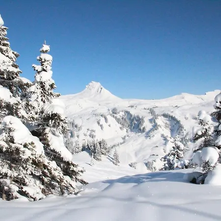 Magdalena Appartement Bezau