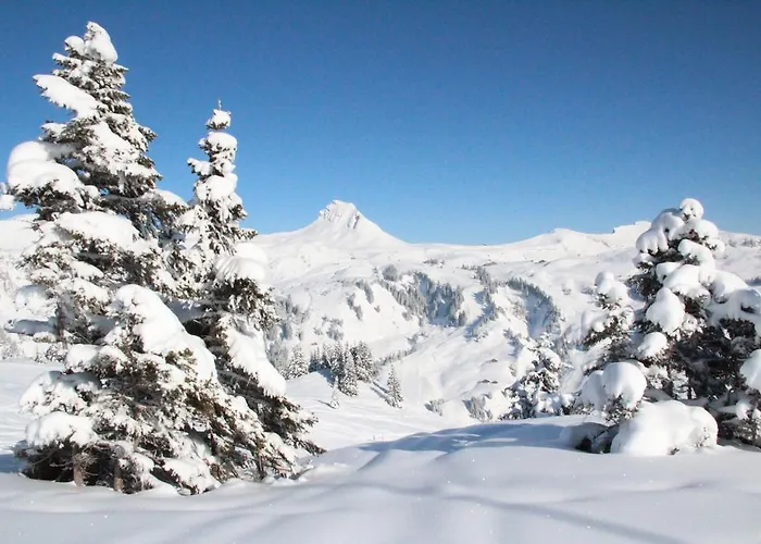 Magdalena Apartment Bezau